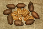 In Shell Pecans 